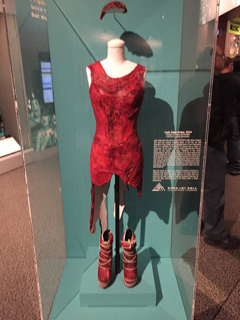 meat dress medium (2).jpg