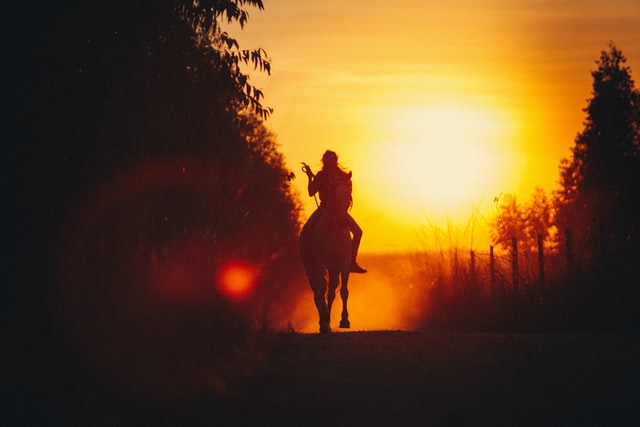 Horse_Sunset.jpg