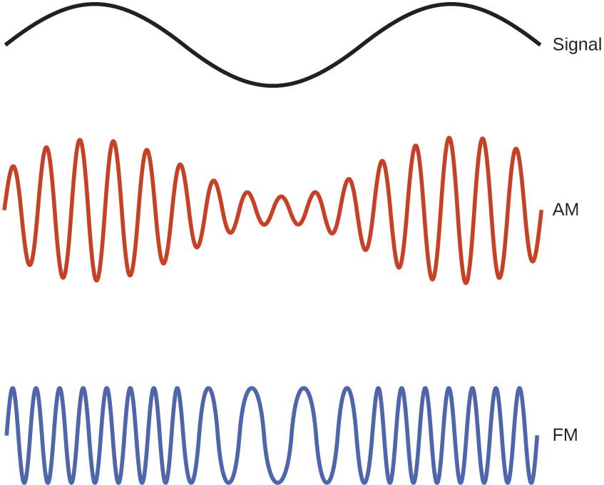 This figure shows 3 wave diagrams. The first wave diagram is in black and shows two crests, indicates a consistent distance from peak to trough, and has one trough in its span across the page. The label, “Signal,” appears to the right. Just below this, a wave diagram is shown in red. The wave includes sixteen crests, but the distance from the peaks to troughs of consecutive waves varies moving across the page. The peak to trough distance is greatest in the region below the peaks of the black wave diagram, and the distance from peak to trough is similarly least below the trough of the black wave diagram. This red wave diagram is labeled, “A M.” The third wave diagram is shown in blue. The distance from peak to trough of consecutive waves is constant across the page, but the peaks and troughs are more closely packed in the region below the peaks of the black wave diagram at the top of the figure. The peaks and troughs are relatively widely spaced below the trough region of the black wave diagram. This blue wave diagram is labeled “F M.”