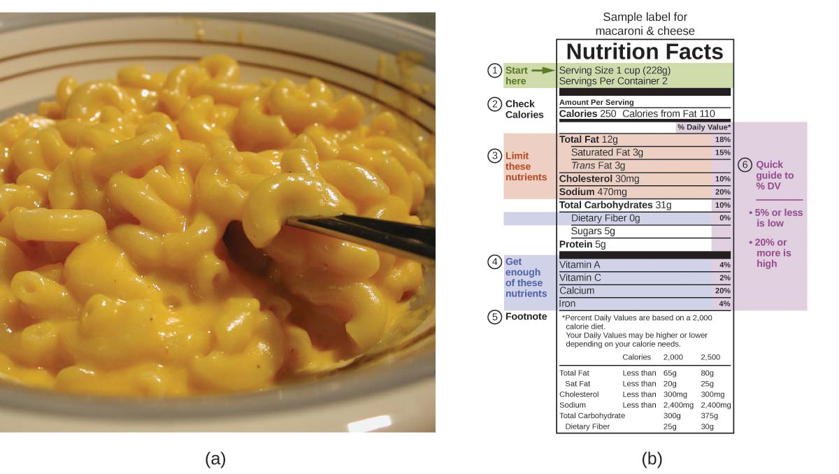 Two pictures are shown and labeled a and b. Picture a shows a close-up of a bowl of macaroni and cheese. Picture b is a food label that contains highlighted information in a table format. The top of the label reads “Sample label for macaroni and cheese.” Below this are the words “Nutrition facts.” Below this are two lines of highlighted text that read “Serving size one cup (228 g)” and “Servings per container 2.” A label to the left of these lines reads “Start here” and a right-facing arrow is beside these words. Below this are the words “check calories” which lie to the left of the phrases “Amount per serving” which is above the words “Calories 250” and “Calories from fat 210.” The next segment of the label is highlighted and contains five phrases “Total fat 12 g,” “Saturated fat 3 g,” “Trans fat 3 g,” “Cholesterol 30 m g,” and “Sodium 470 m g.” The phrase “Limit these nutrients” lies to the left of these five phrases. The phrase below these is “Total carbohydrates 31 g” and is followed by a highlighted phrase, “Dietary fiber 0 g.” Below this are the phrases “Sugars 5 g” and “Proteins 5 g.” Below this is a highlighted portion containing the phrases “Vitamin A,” “Vitamin C,” “Calcium,” and “Iron.” A label to the left of these terms states “Get enough of these nutrients.” The bottom of the label is labeled “Footnote” and reads “Percent daily values are based on a 2,000 calorie diet. Your daily values may be higher or lower depending on your calorie needs.” Each of the highlighted terms in the table are in line with a percentage value to the right of the table. A note on the outer right of the table states “Quick guide to % DV”, “5% or less is low” and “20% or more is high. The daily value for total fat is 18%, for saturated fat is 15%, for cholesterol is 10%, for sodium is 20%, for total carbohydrates is 10%, for dietary fiber is 0%, for vitamin A is 4%, for vitamin C is 2%, for calcium is 20%, and for iron is 4%.” At the very bottom is a table that indicates calories at 2,000 and 2,500. For total fat the table indicates less than 65 g for 2,000 calories and 80 g from 2,500 calories. For saturated fat the table indicates less than 20 g for 2,000 calories and 25 g for 2,500 calories. For cholesterol the table indicates less than 300 m g for 2,000 calories and 300 m g for 2,500 calories. For sodium the table indicates less than 2,400 m g for 2,000 calories and 2,400 m g for 2,500 calories. For total carbohydrate the table indicates 300 g for 2,000 calories and 375 g for 2,500 calories. For dietary fiber the table indicates 25 g for 2,000 calories and 30 g for 2,500 calories.