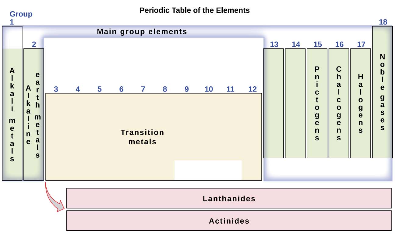 This diagram combines the groups and periods of the periodic table based on their similar properties. Group 1 contains the alkali metals, group 2 contains the earth alkaline metals, group 15 contains the pnictogens, group 16 contains the chalcogens, group 17 contains the halogens and group 18 contains the noble gases. The main group elements consist of groups 1, 2, and 12 through 18. Therefore, most of the transition metals, which are contained in groups 3 through 11, are not main group elements. The lanthanides and actinides are called out at the bottom of the periodic table.